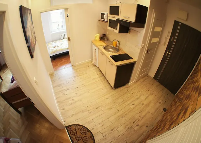 公寓 波兹南耶希泽公寓 *