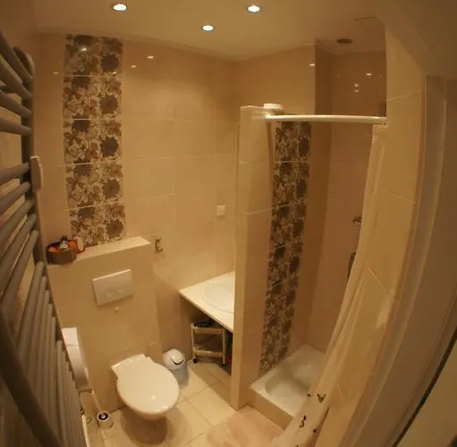 公寓 波兹南耶希泽公寓